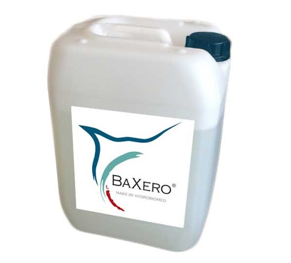 BAXERO Desinfektionslösung 20l